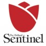 HollandSentinel